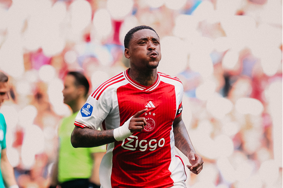 Bergwijnscoort